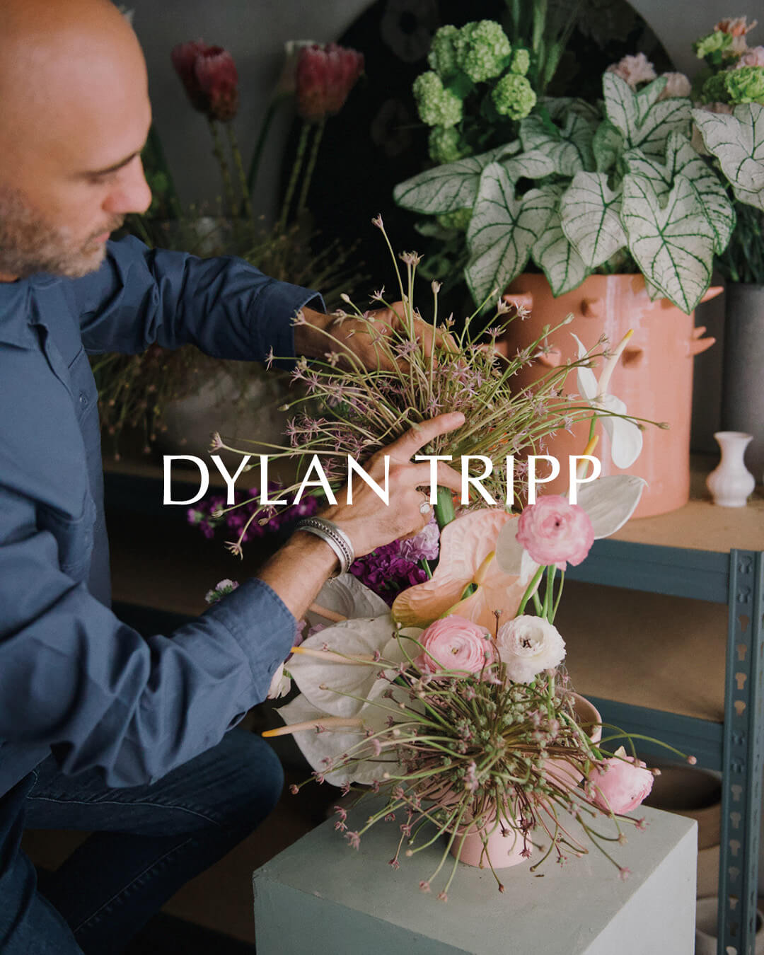 Collab San Greg - Dylan Tripp - Copertina landing