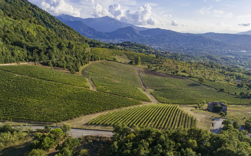 vitigno pietrascilonga docg fiano d'avellino