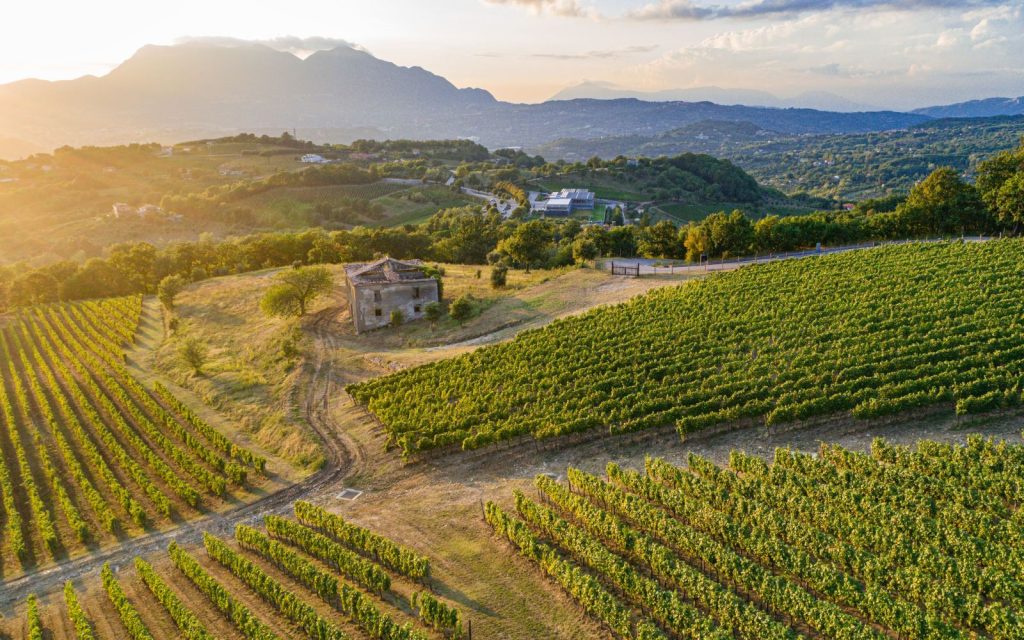 vitigno fiano irpinia pietrascilonga