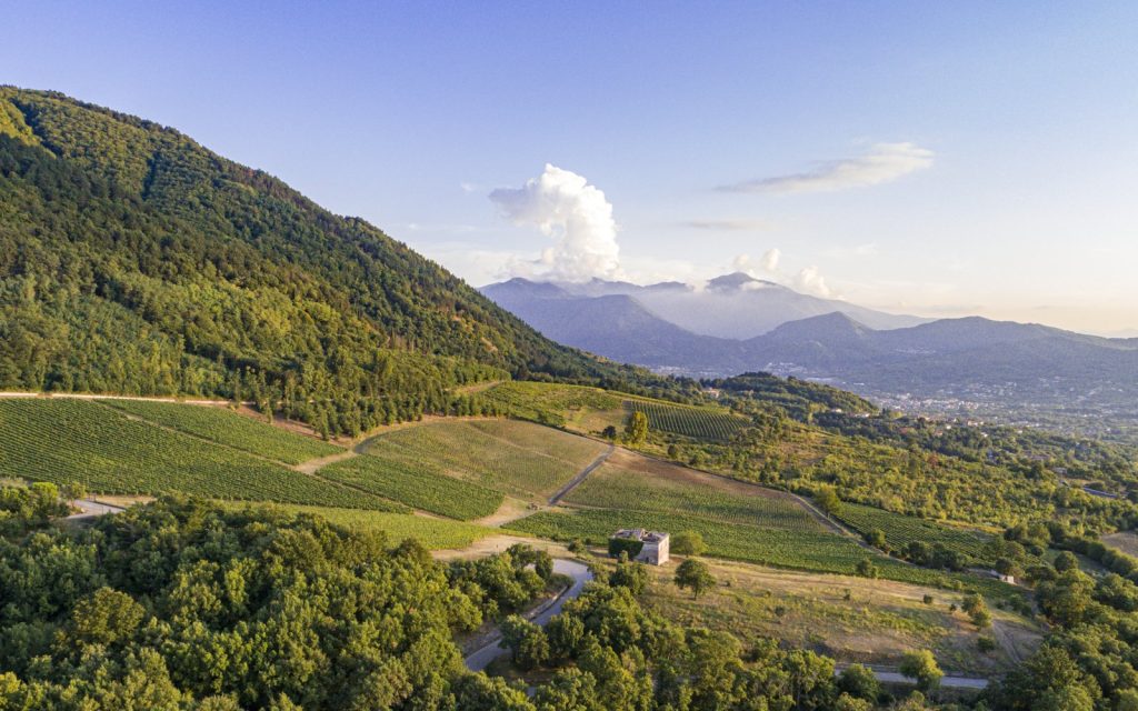 vigneti fiano di avellino docg qualità pietrascilonga