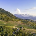 vigneti fiano di avellino docg qualità pietrascilonga